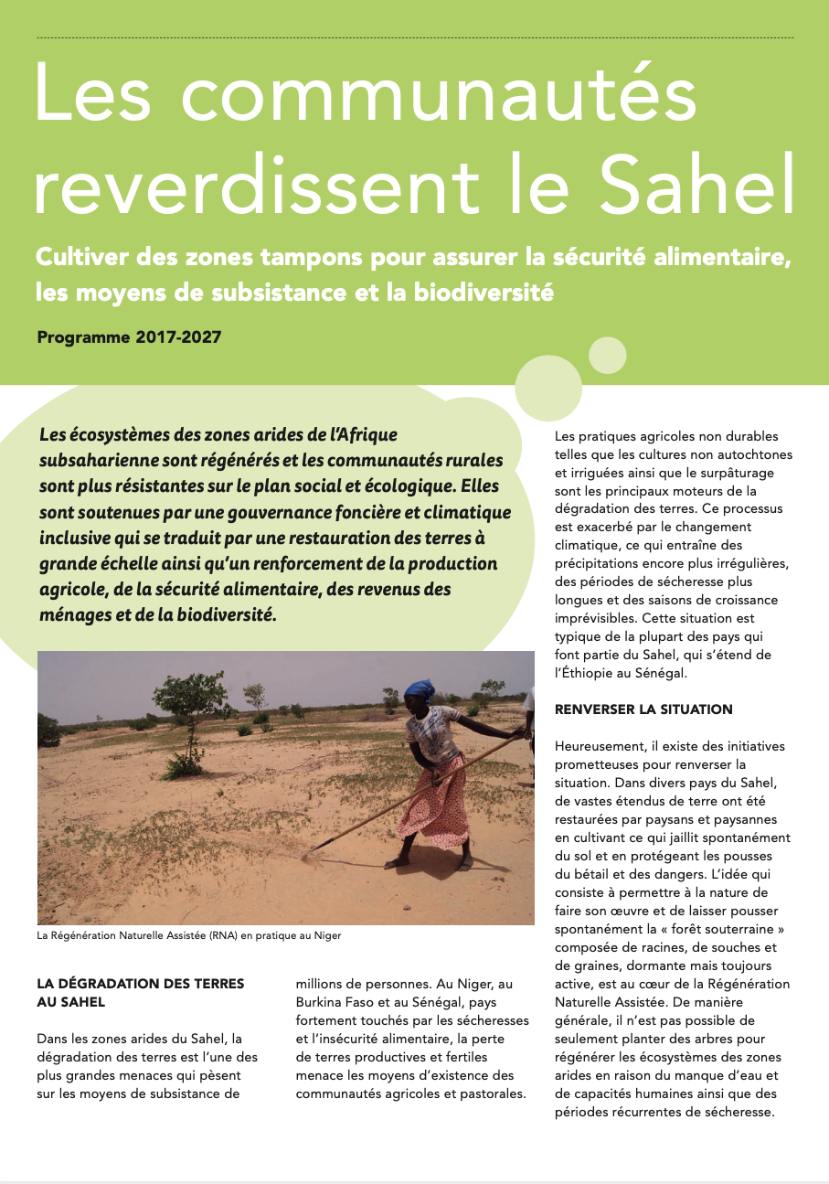 Les communautés reverdissent le Sahel: Cultiver des zones tampons pour assurer la sécurité alimentaire, les moyens de subsistance et la biodiversité