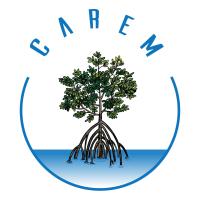 Coordination des Actions pour la Restauration des Ecosystèmes Mangrove ( CAREM)