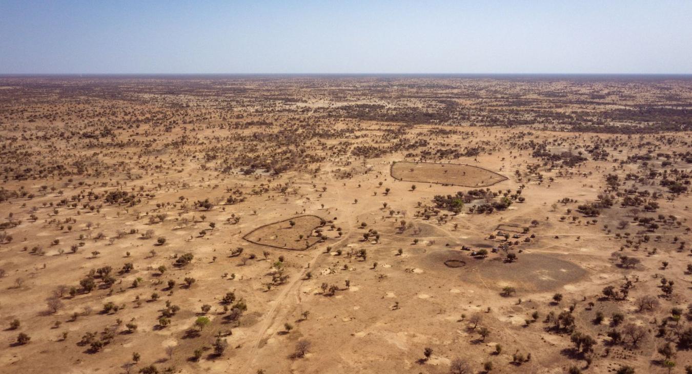 Projet de reforestation du Ferlo pour une gestion durable des terres