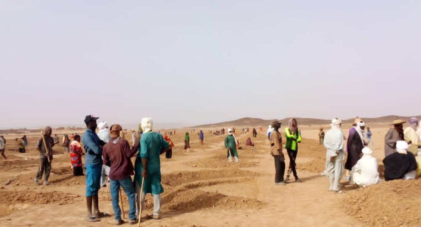 Récupération des terres dégradées à Akoubounou PaneGMV Plateforme