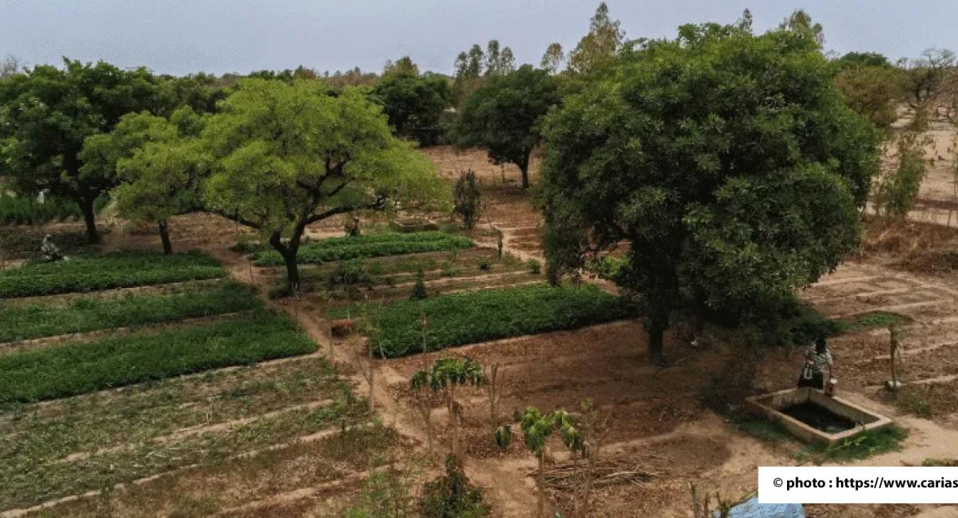 GMV-AGROECOLOGIE : Programme d’actions structurées des acteurs de la lutte contre la désertification (PASS-LCD)