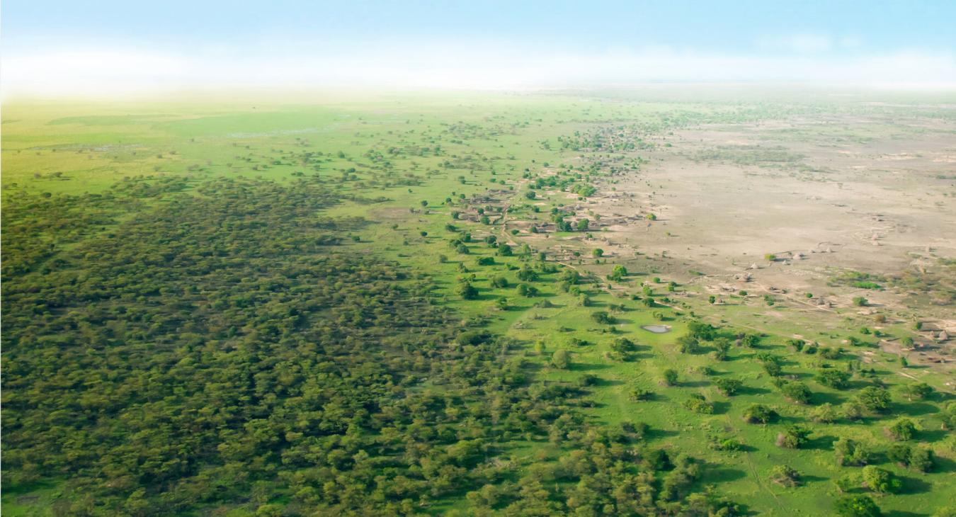 Progress accelerated but targeted action needed to realize Africa’s Great Green Wall ambition.