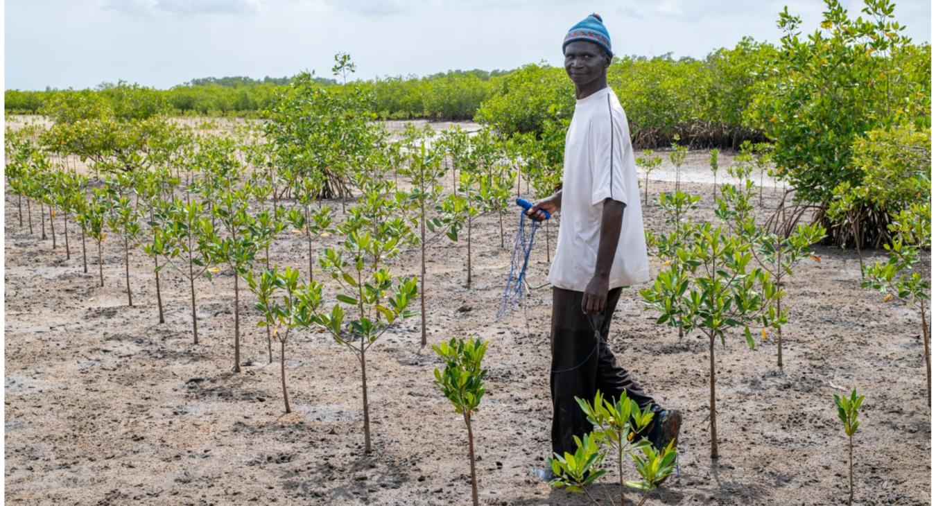 SENEGAL launches Africa Integrated Climate Risk Management Programme to support smallholder farmers