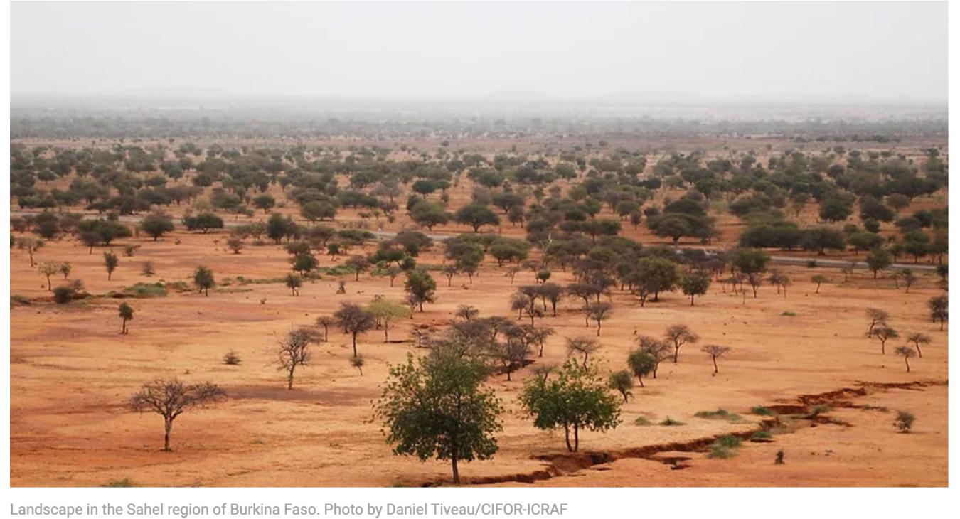 Actions are multiplying for the Great Green Wall initiative