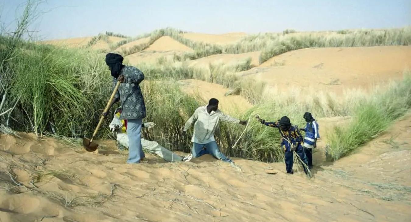 THE GREAT GREEN WALL: WHEN UTOPIA BECOMES REALITY