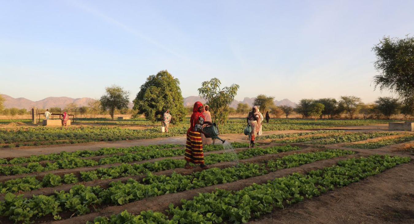 TCHAD : Gouvernement/PAM : une collaboration harmonieuse en agriculture