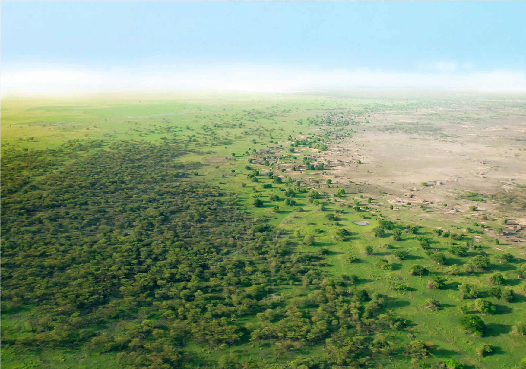 Progress accelerated but targeted action needed to realize Africa’s Great Green Wall ambition.