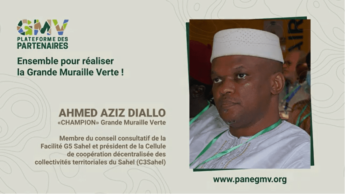 Ahmed Aziz Diallo - Membre du conseil consultatif de la Facilité G5 Sahel et président de la C3Sahel