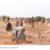 Transparency and integrity of the Great Green Wall Initiative in the Sahel Region (GGWI)