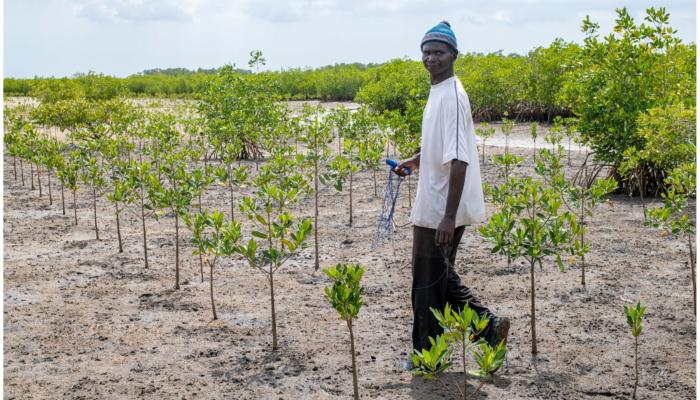 SENEGAL launches Africa Integrated Climate Risk Management Programme to support smallholder farmers